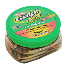 Load image into Gallery viewer, Gapmi3-ast1 Gulp Alive Assort 3in Minnow