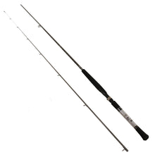 Load image into Gallery viewer, Bcs1002l Ber Crappie Series 10ft 2pc Lt