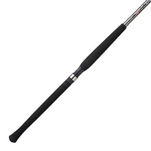 Load image into Gallery viewer, Bcs1002l Ber Crappie Series 10ft 2pc Lt