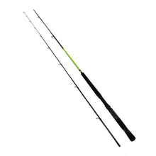 Load image into Gallery viewer, Cg10l2slab Shaker Custom Graphite Rods