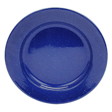 Load image into Gallery viewer, Plate Enamel 10"