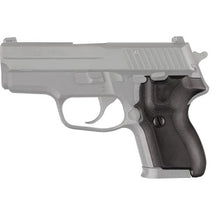 Load image into Gallery viewer, Sig P224 Da-sa G10 Sld Blk