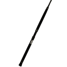 Load image into Gallery viewer, Sct-c-701h Sct Boat Rod