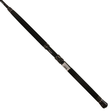 Load image into Gallery viewer, Sct-c-701xh Sct Boat Rod