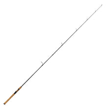 Load image into Gallery viewer, Diamond Series Graphite Rod 6'6" 2 Pc M