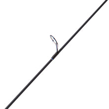 Load image into Gallery viewer, Diamond Series Graphite Rod 6' 2pc L