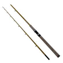 Load image into Gallery viewer, Crafted Glass Casting Rod 9' 2 Pc Mh