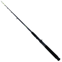 Load image into Gallery viewer, Big Cat 9'0" 2pc Mh Cast Rod