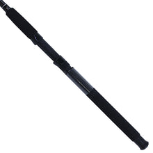 Load image into Gallery viewer, Big Cat 7'0" 2pc Mh Spin Rod