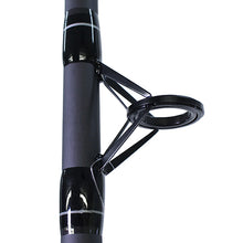 Load image into Gallery viewer, Big Cat 9'0" 2pc Mh Spin Rod