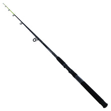 Load image into Gallery viewer, Big Cat 9'0" 2pc Mh Spin Rod