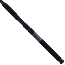 Load image into Gallery viewer, Big Cat 9'0" 2pc Mh Spin Rod