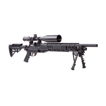 Load image into Gallery viewer, Armada .25cal 4-16x46scope