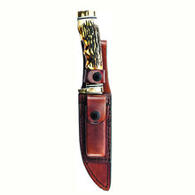 Load image into Gallery viewer, Golden Spike 9 1-4" Overall W-sheath,boxd