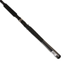 Load image into Gallery viewer, Rg Rod Series, 1pc, Line Wt.= 10-20
