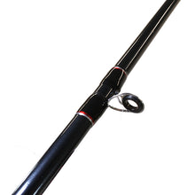 Load image into Gallery viewer, Wilderness Specialty Rods,2pc,lnwt 12-25