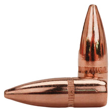 Load image into Gallery viewer, 22 Cal .224 55gr Fmj-bt W-c -100