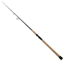 Load image into Gallery viewer, Back Bay Rod, Sec= 1, Line Wt.= 15-25