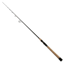 Load image into Gallery viewer, Back Bay Rod, Sections= 1, Line Wt.= 8-17