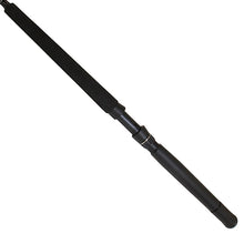 Load image into Gallery viewer, Rd-saltist Stw Trolling Rod,sc=1,wt=30-60