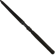 Load image into Gallery viewer, Rd-saltist Stw Trolling Rod,sc=1,wt=20-50